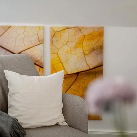 Lejlighed Alexander Cook